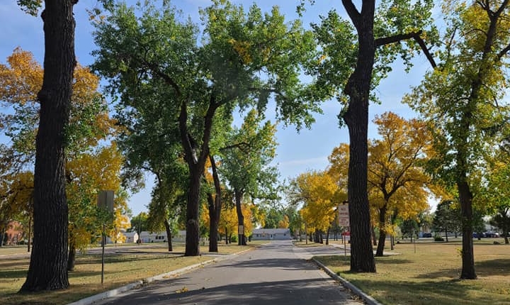 Fall at UTTC
